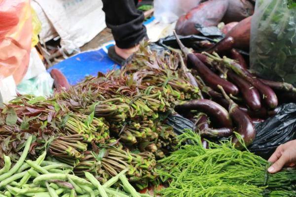 春天的味道都在这些野菜里美食-乐鱼体育(图3)