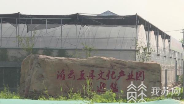 乐鱼体育-灌云红烧豆丹入选江苏省百道乡土地标菜名单(图1)